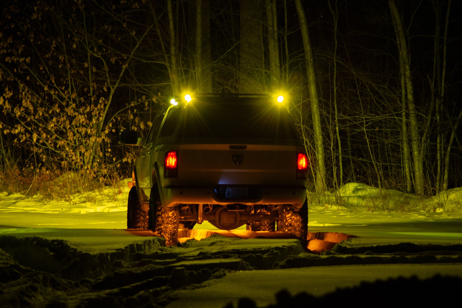 Lighting & Lighting Accessories